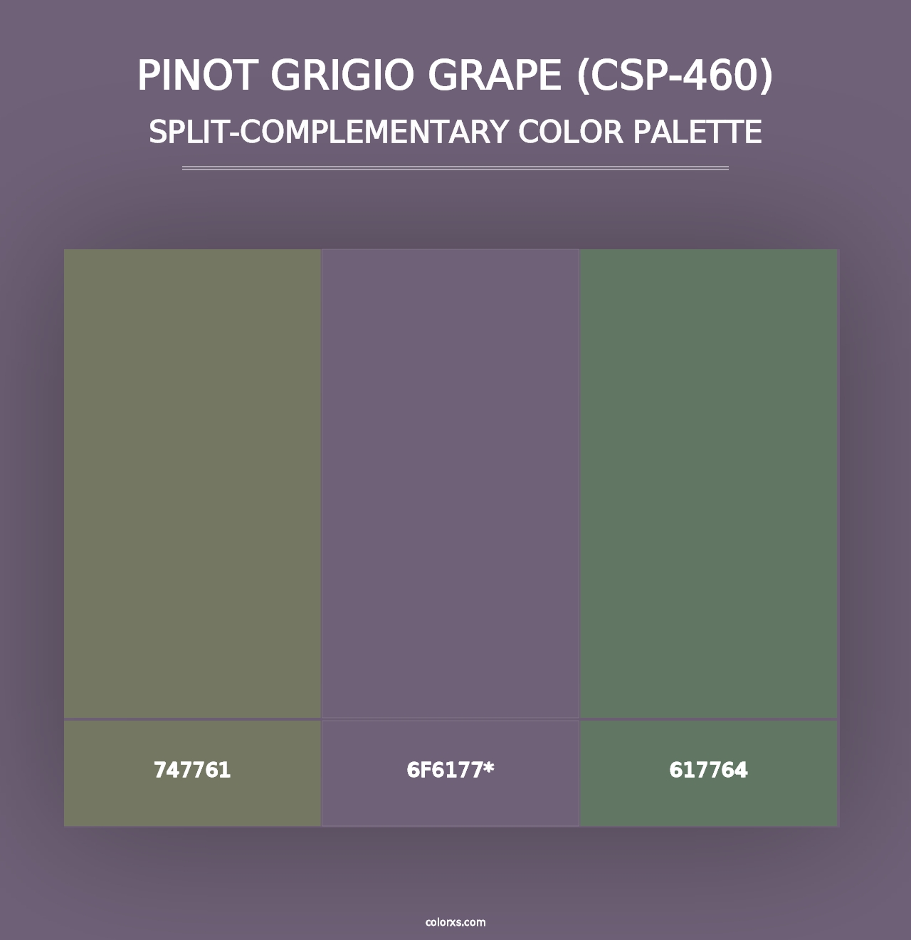 Pinot Grigio Grape (CSP-460) - Split-Complementary Color Palette