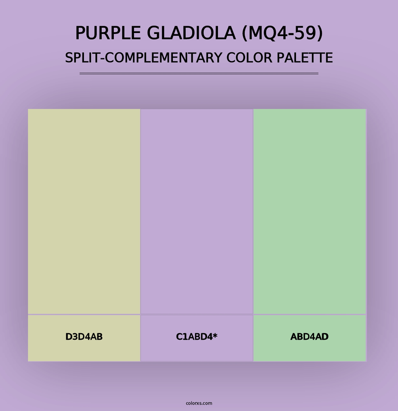 Purple Gladiola (MQ4-59) - Split-Complementary Color Palette