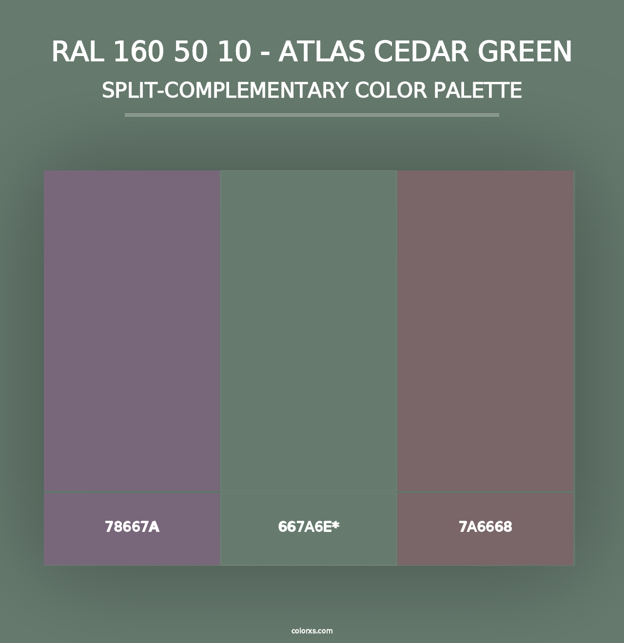 RAL 160 50 10 - Atlas Cedar Green - Split-Complementary Color Palette