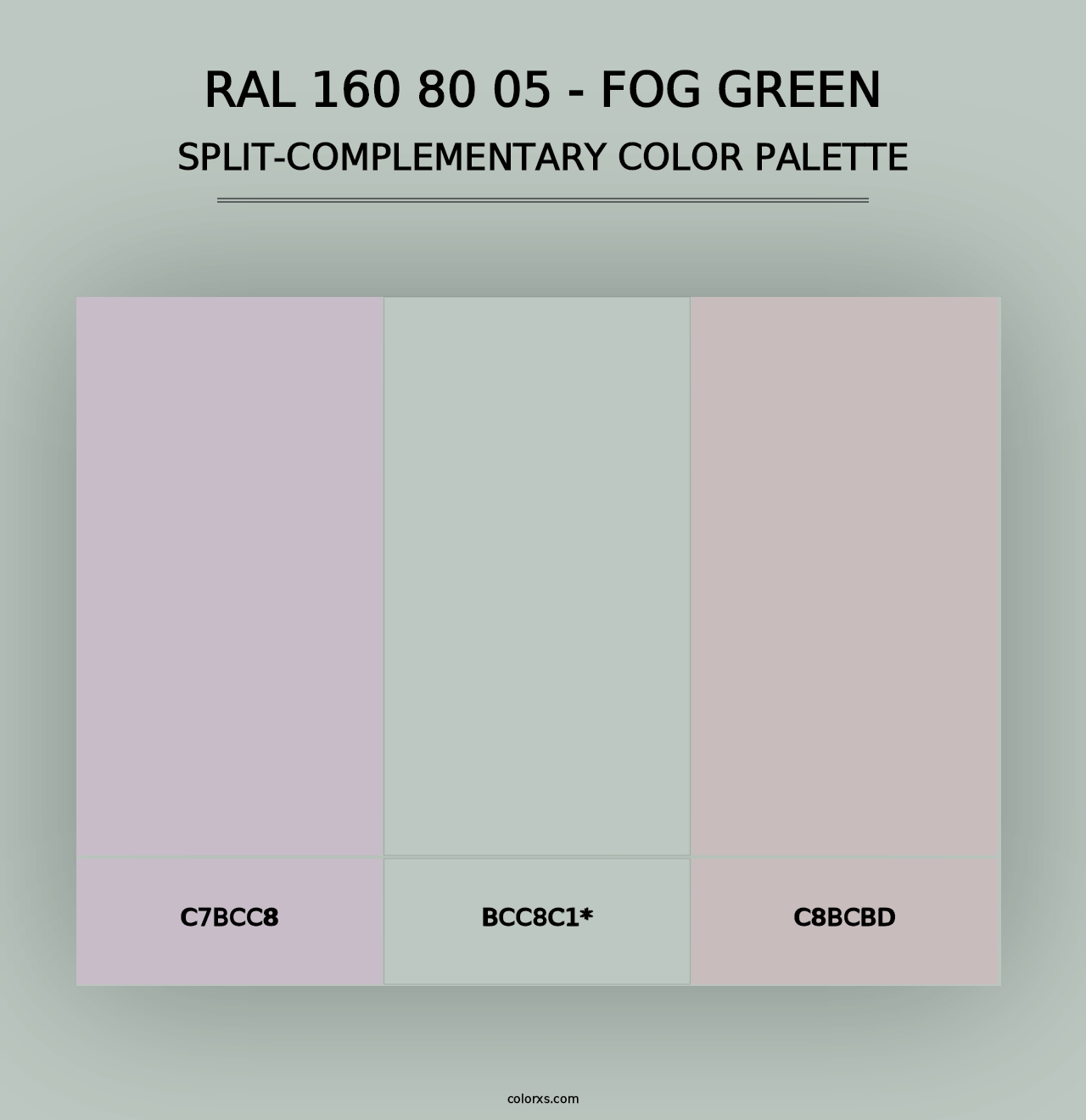 RAL 160 80 05 - Fog Green - Split-Complementary Color Palette