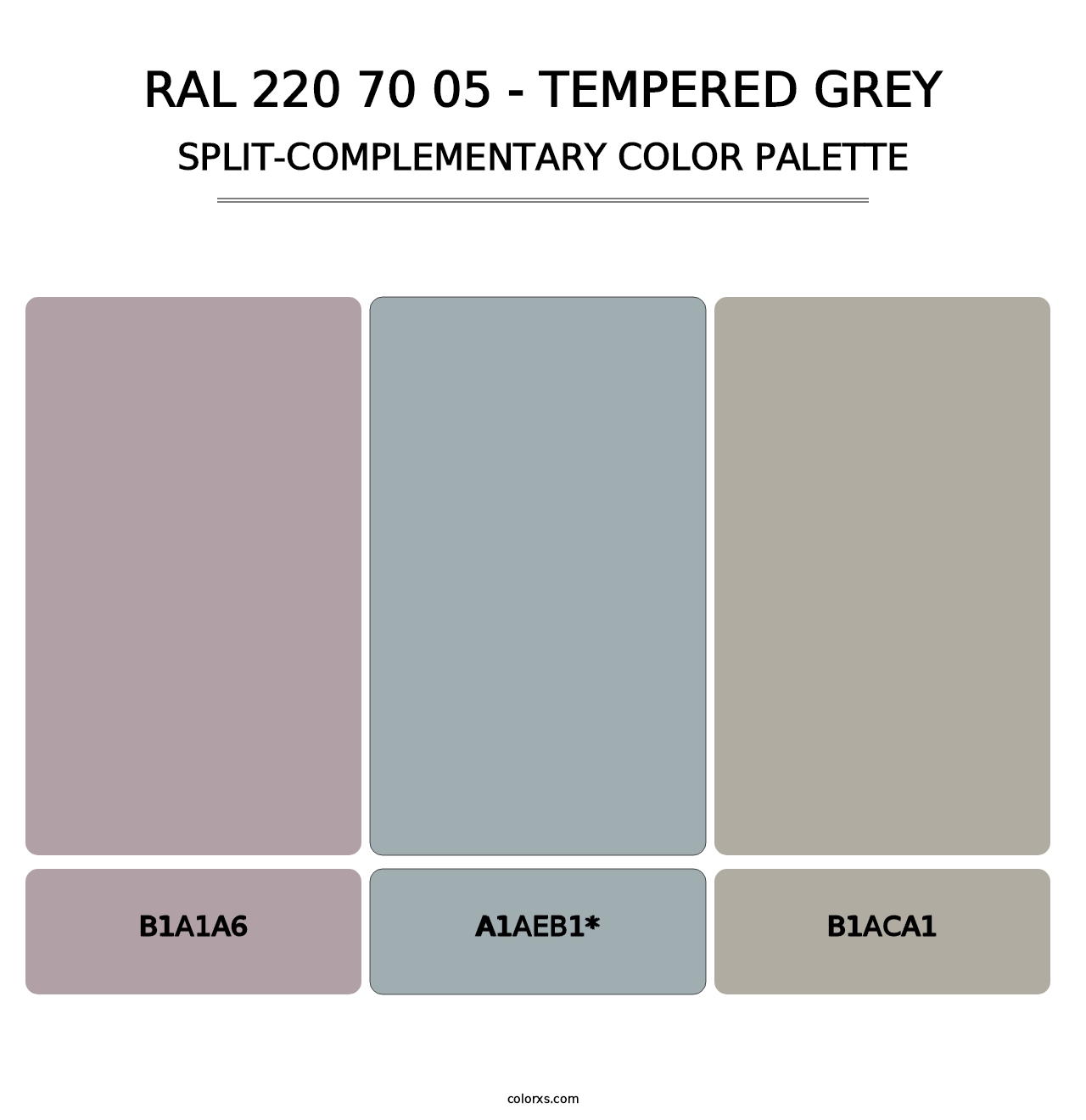 RAL 220 70 05 - Tempered Grey - Split-Complementary Color Palette