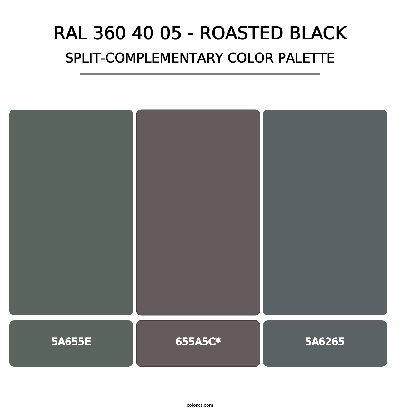 RAL 360 40 05 - Roasted Black - Split-Complementary Color Palette