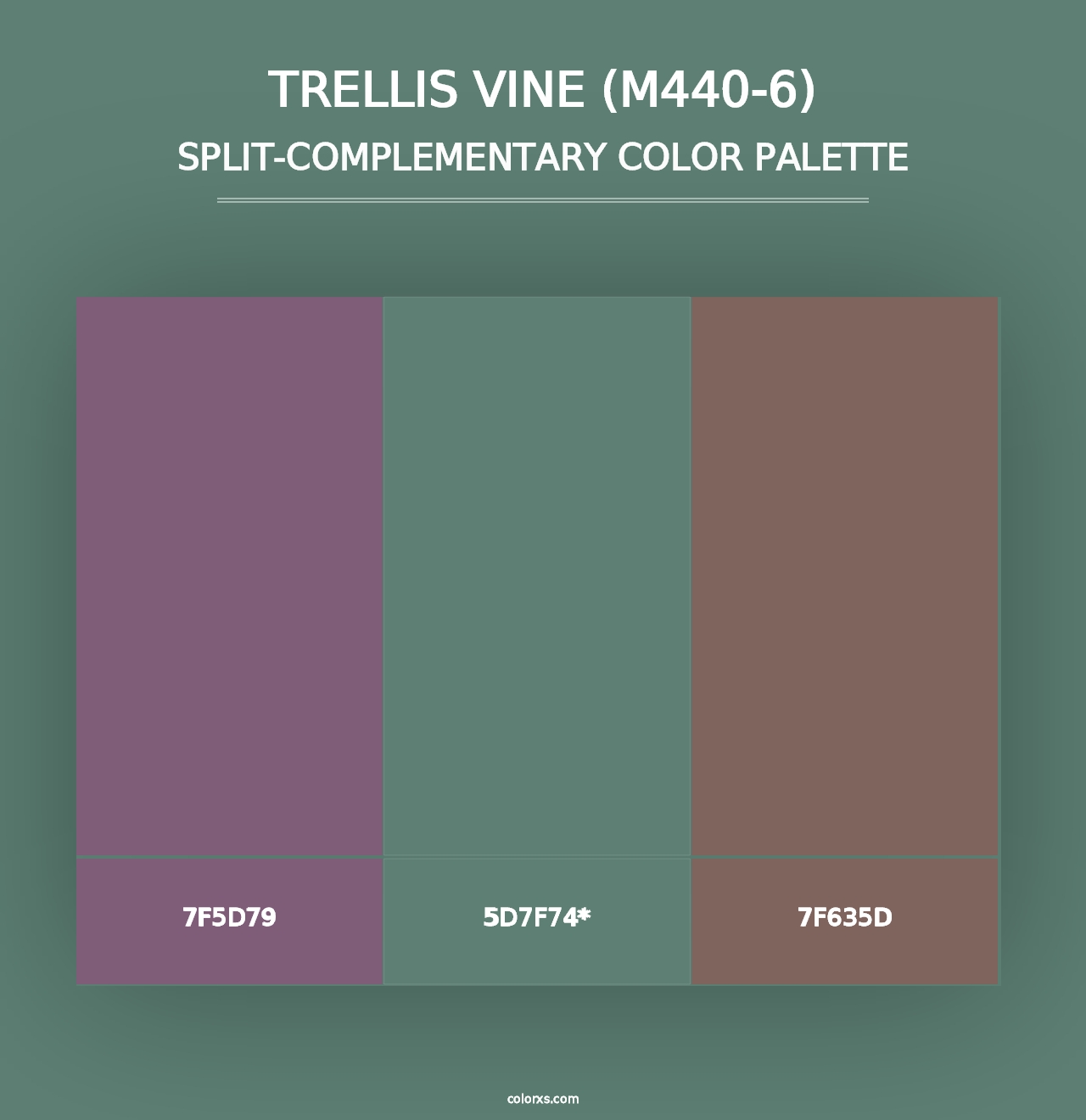 Trellis Vine (M440-6) - Split-Complementary Color Palette