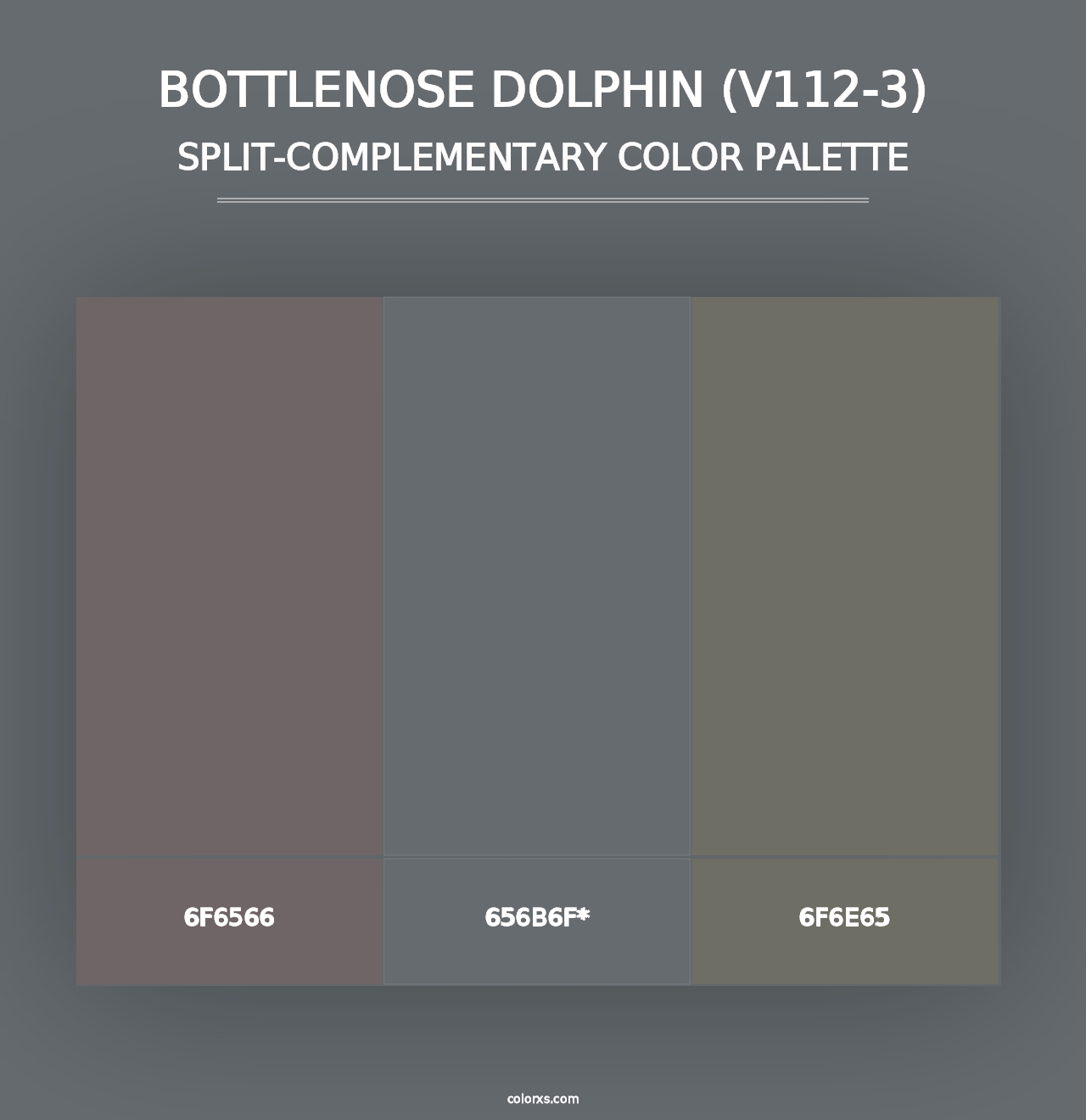 Bottlenose Dolphin (V112-3) - Split-Complementary Color Palette