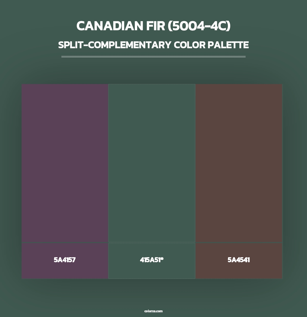 Canadian Fir (5004-4C) - Split-Complementary Color Palette