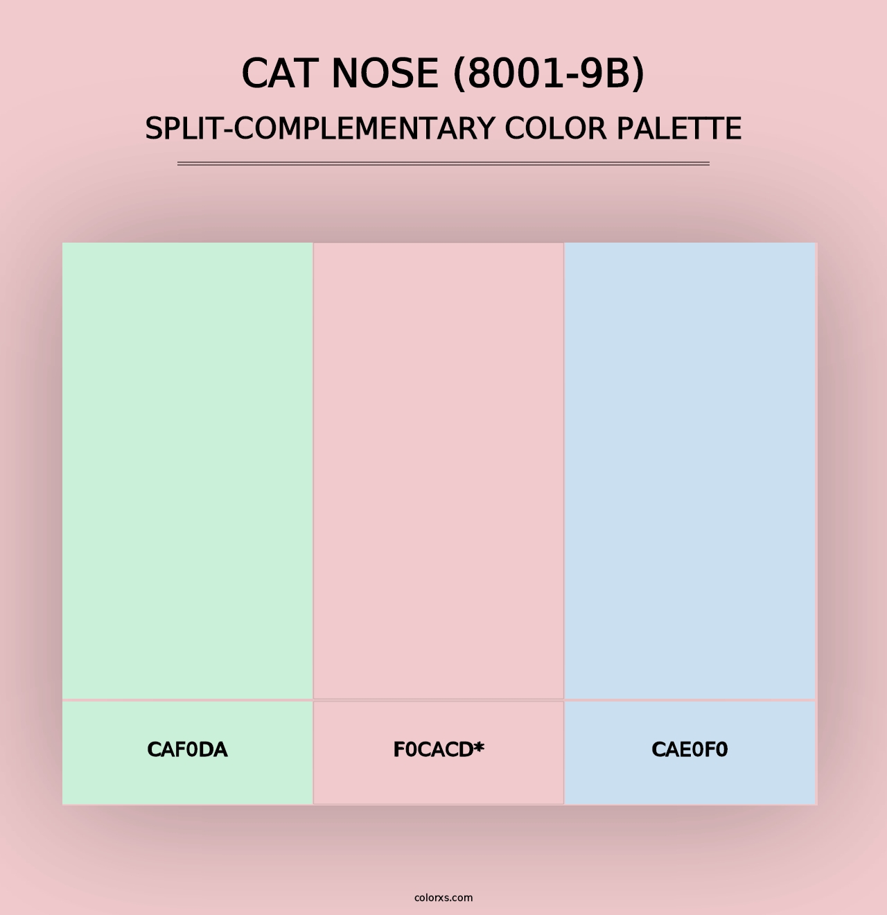 Cat Nose (8001-9B) - Split-Complementary Color Palette