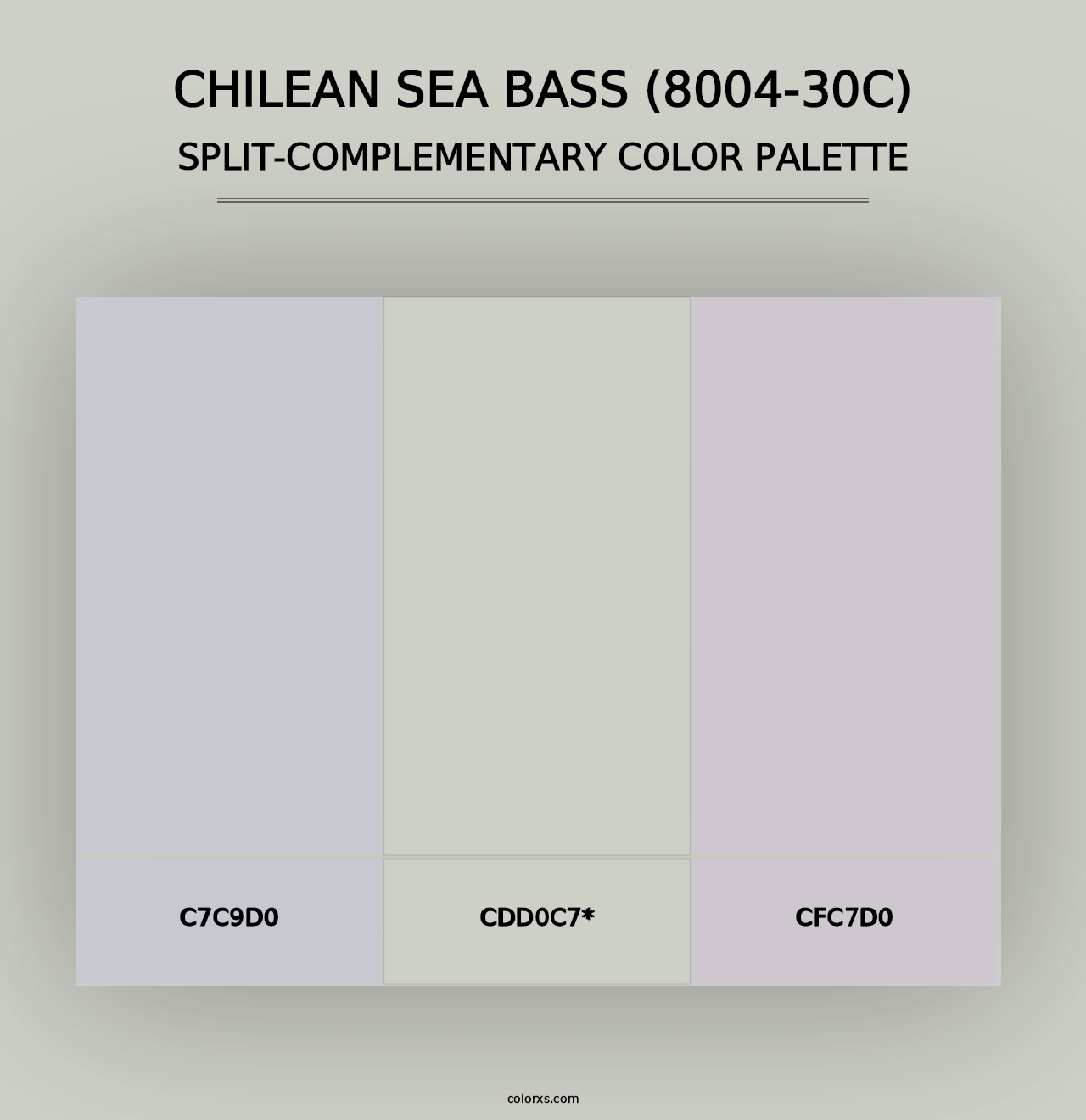 Chilean Sea Bass (8004-30C) - Split-Complementary Color Palette