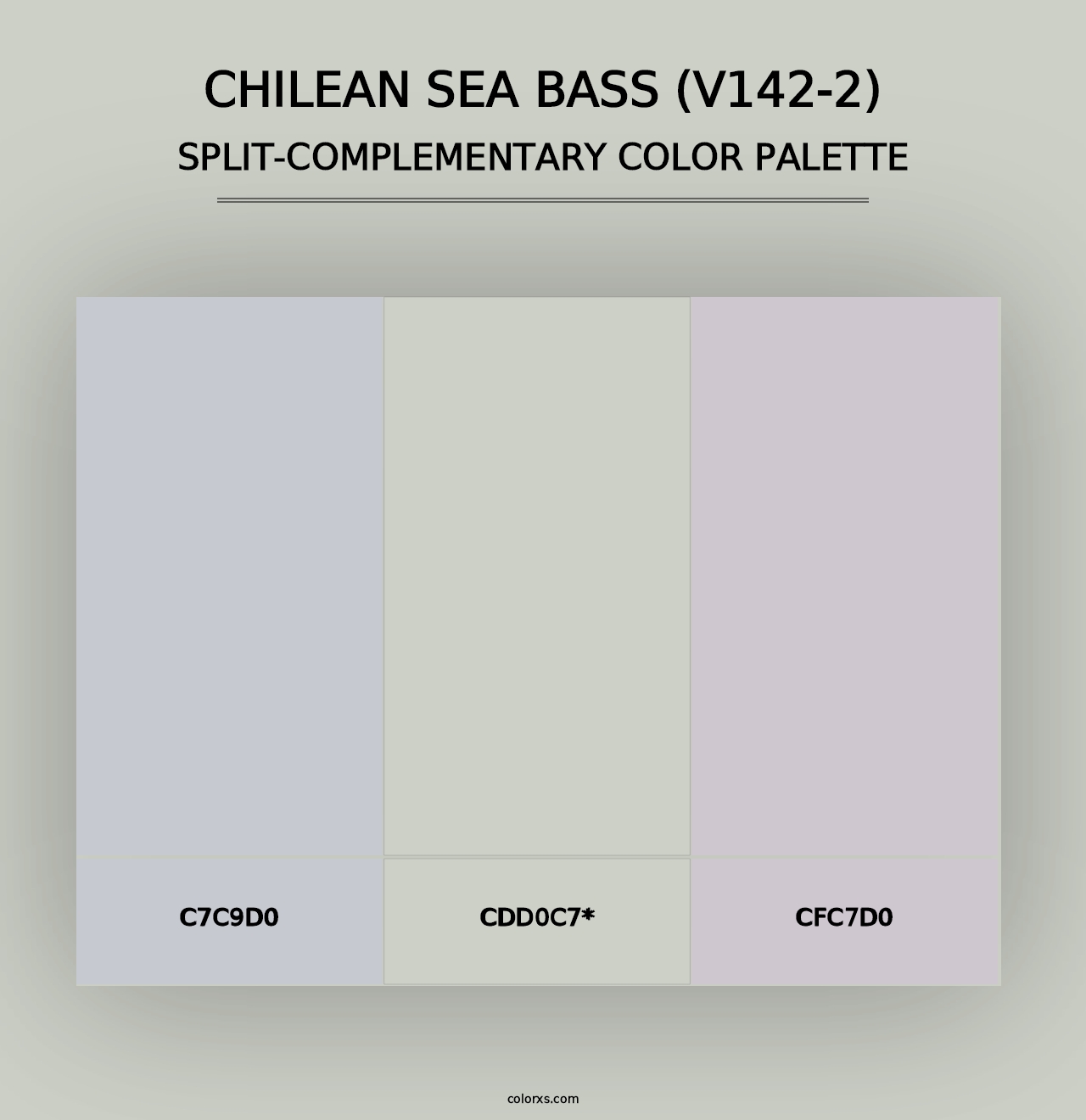 Chilean Sea Bass (V142-2) - Split-Complementary Color Palette