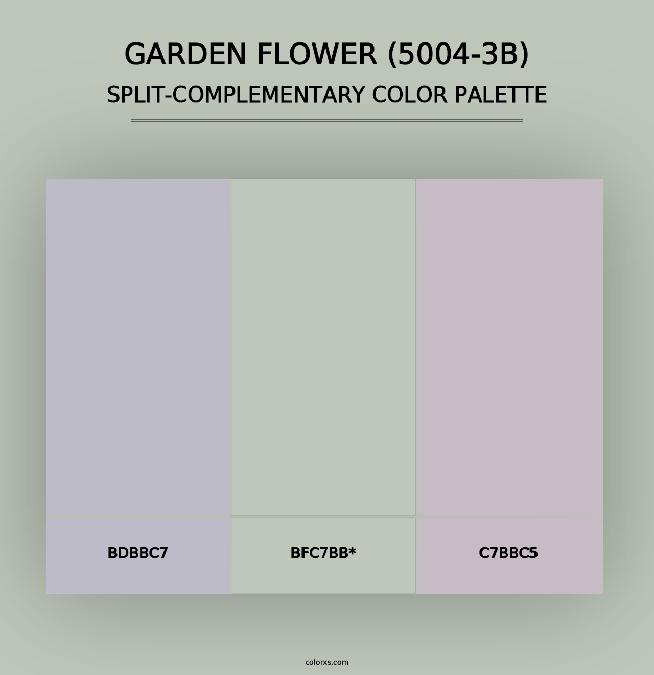 Garden Flower (5004-3B) - Split-Complementary Color Palette