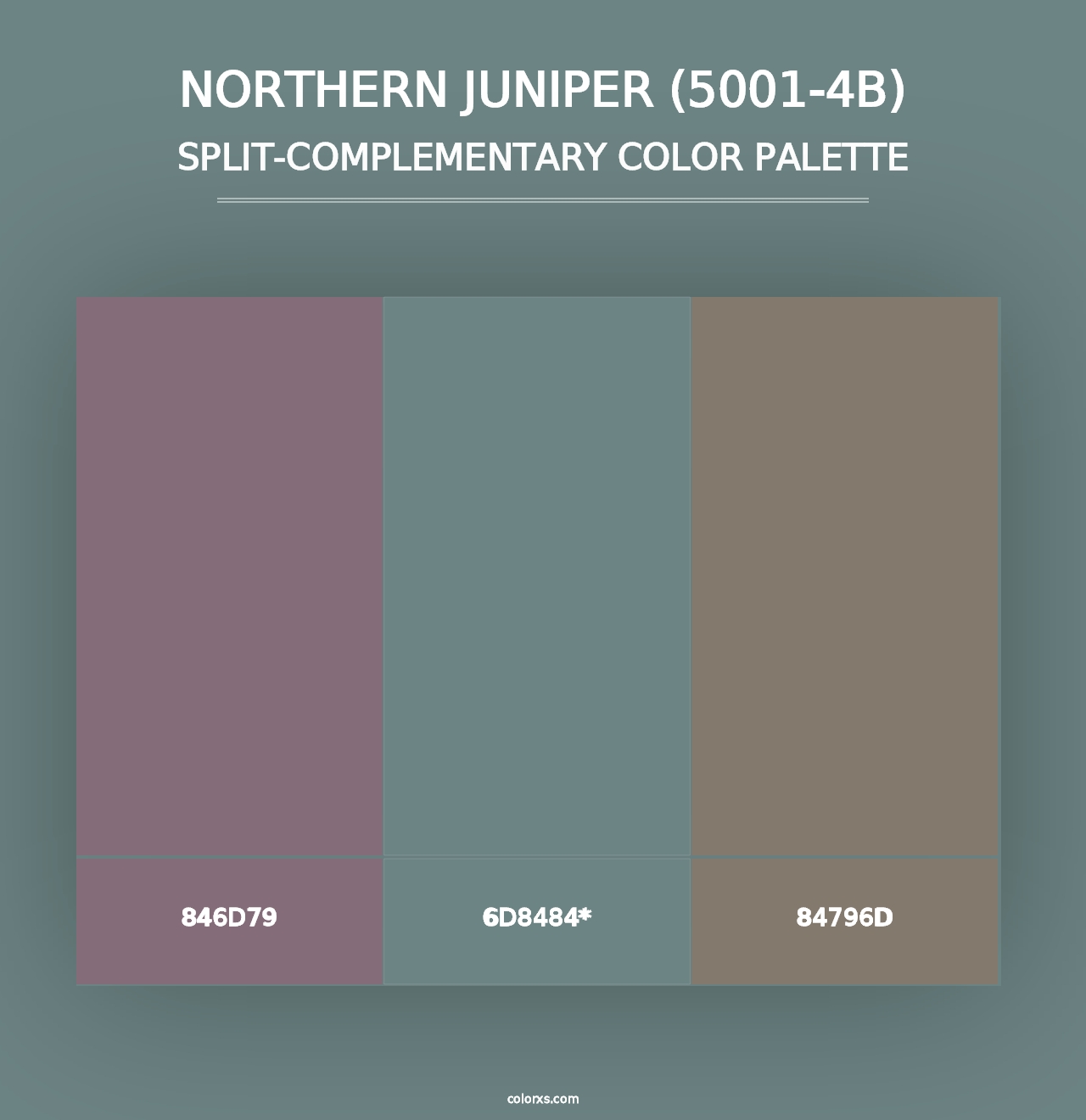 Northern Juniper (5001-4B) - Split-Complementary Color Palette