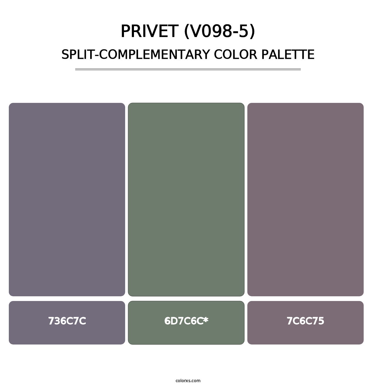 Privet (V098-5) - Split-Complementary Color Palette