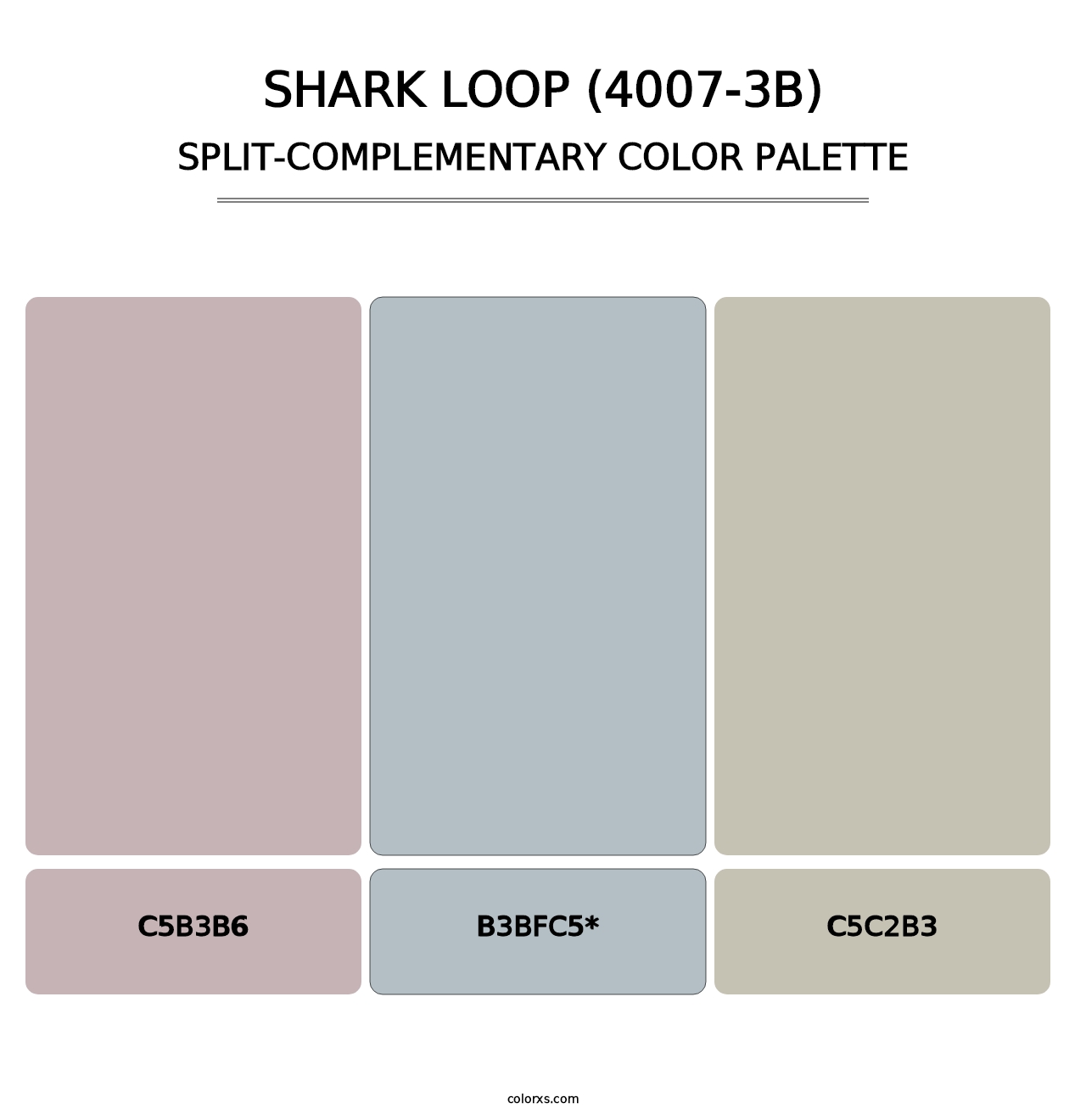 Shark Loop (4007-3B) - Split-Complementary Color Palette