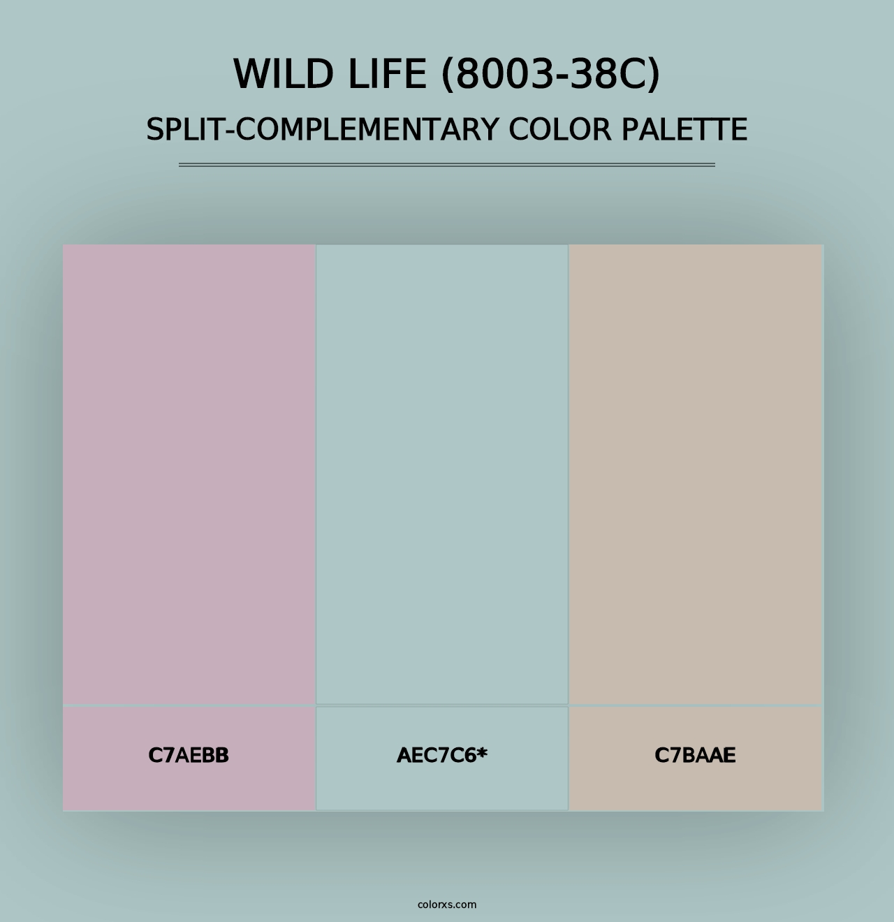 Wild Life (8003-38C) - Split-Complementary Color Palette