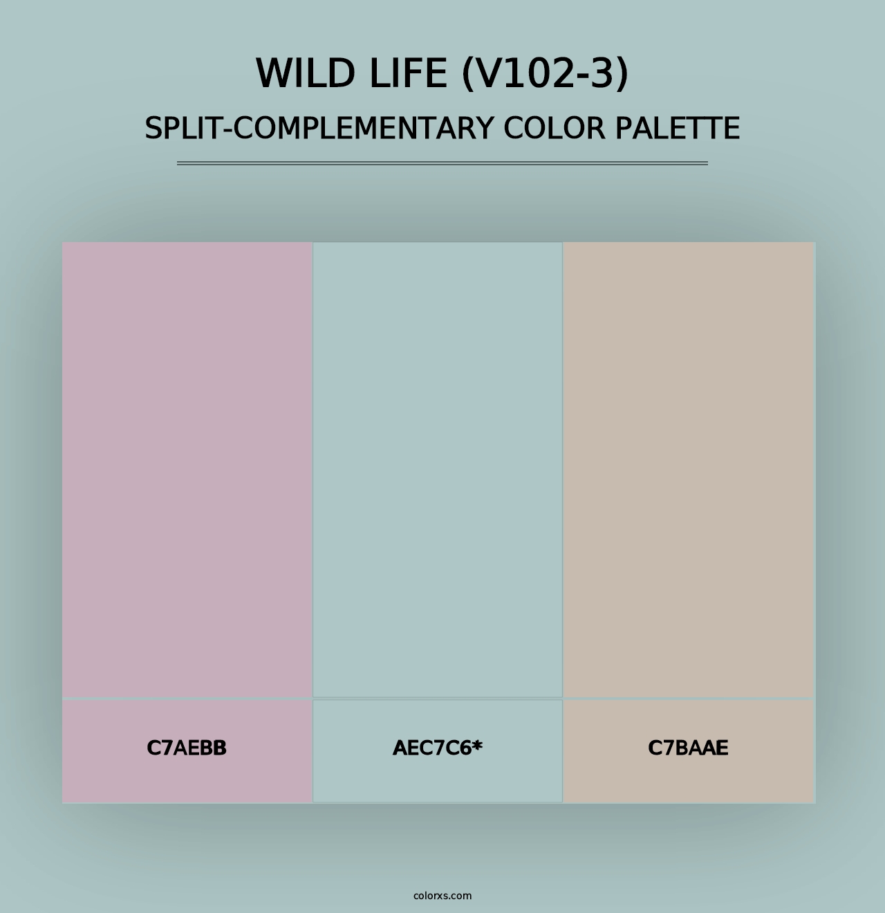 Wild Life (V102-3) - Split-Complementary Color Palette