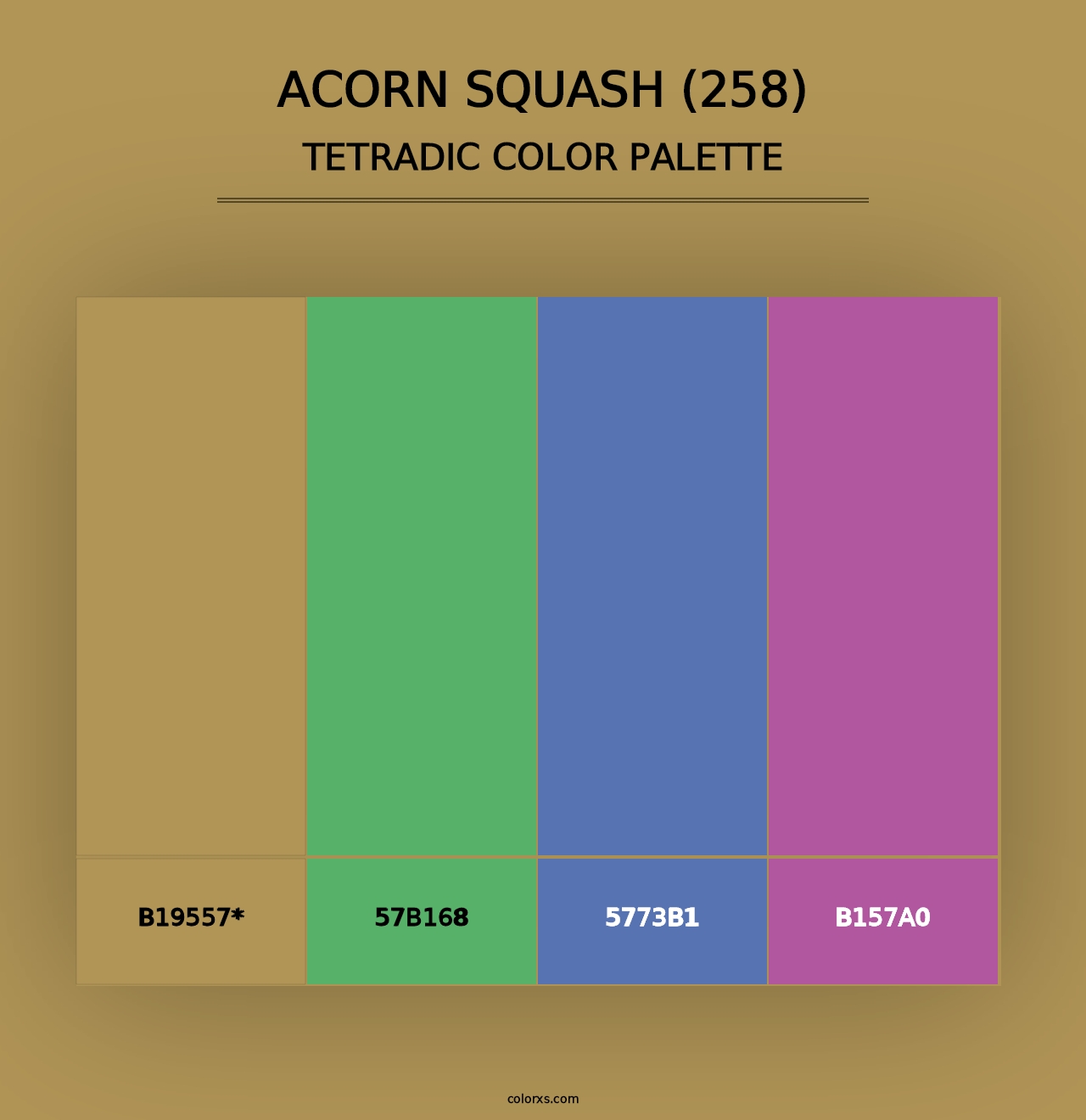 Acorn Squash (258) - Tetradic Color Palette