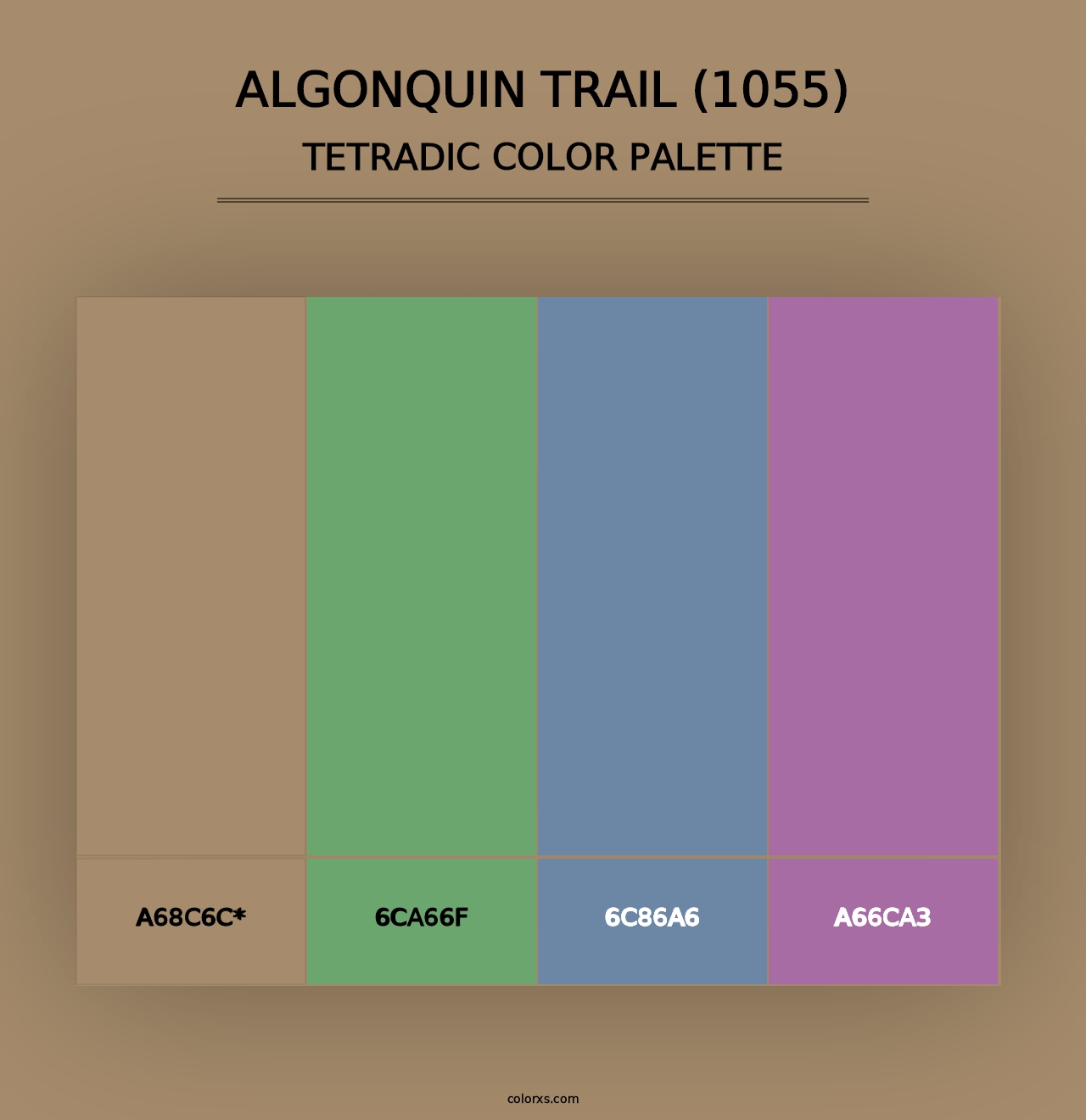 Algonquin Trail (1055) - Tetradic Color Palette