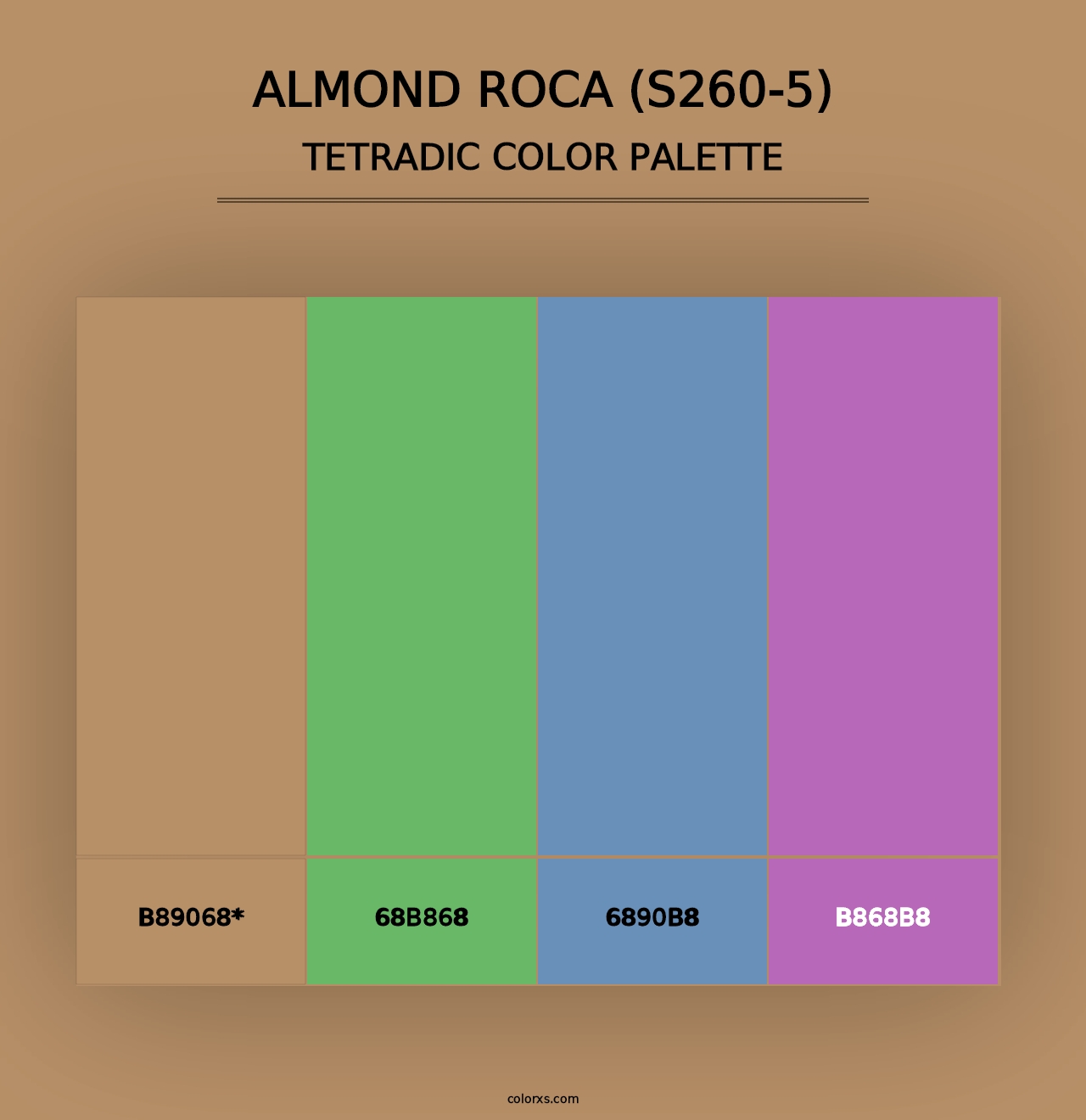 Almond Roca (S260-5) - Tetradic Color Palette