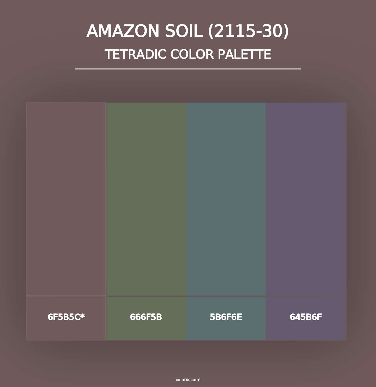 Amazon Soil (2115-30) - Tetradic Color Palette