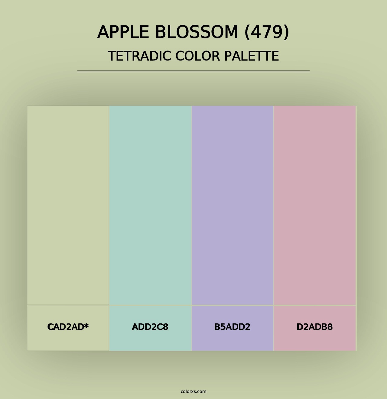 Apple Blossom (479) - Tetradic Color Palette