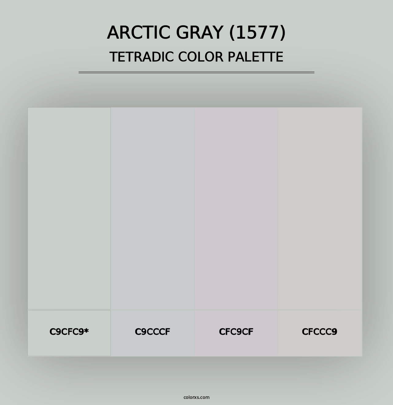 Arctic Gray (1577) - Tetradic Color Palette