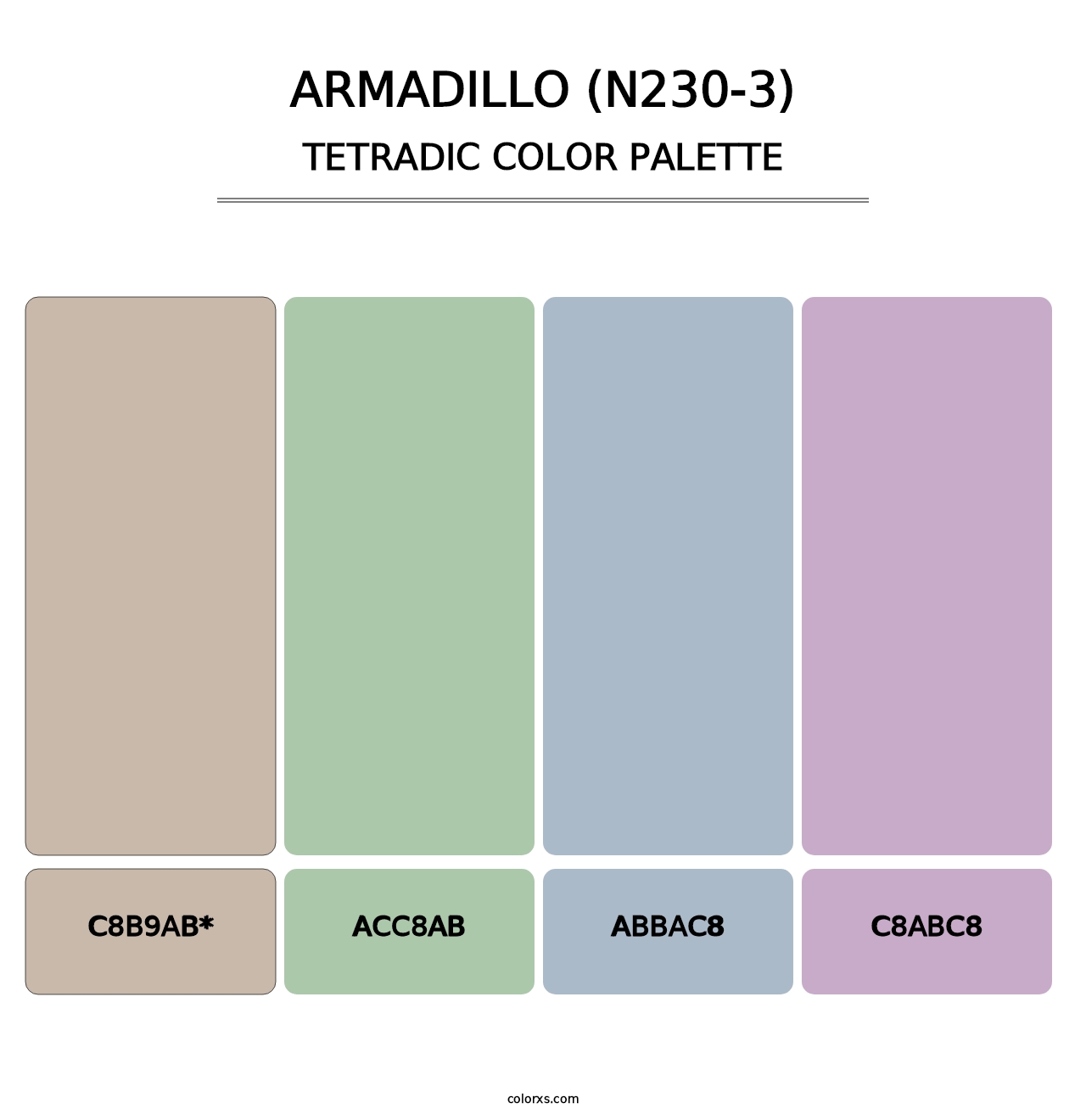 Armadillo (N230-3) - Tetradic Color Palette