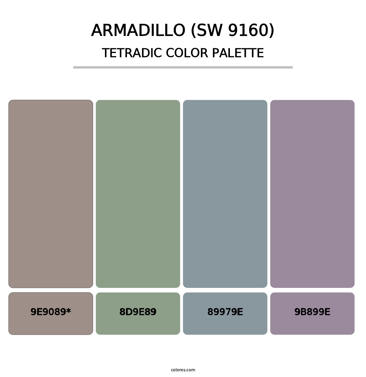 Armadillo (SW 9160) - Tetradic Color Palette