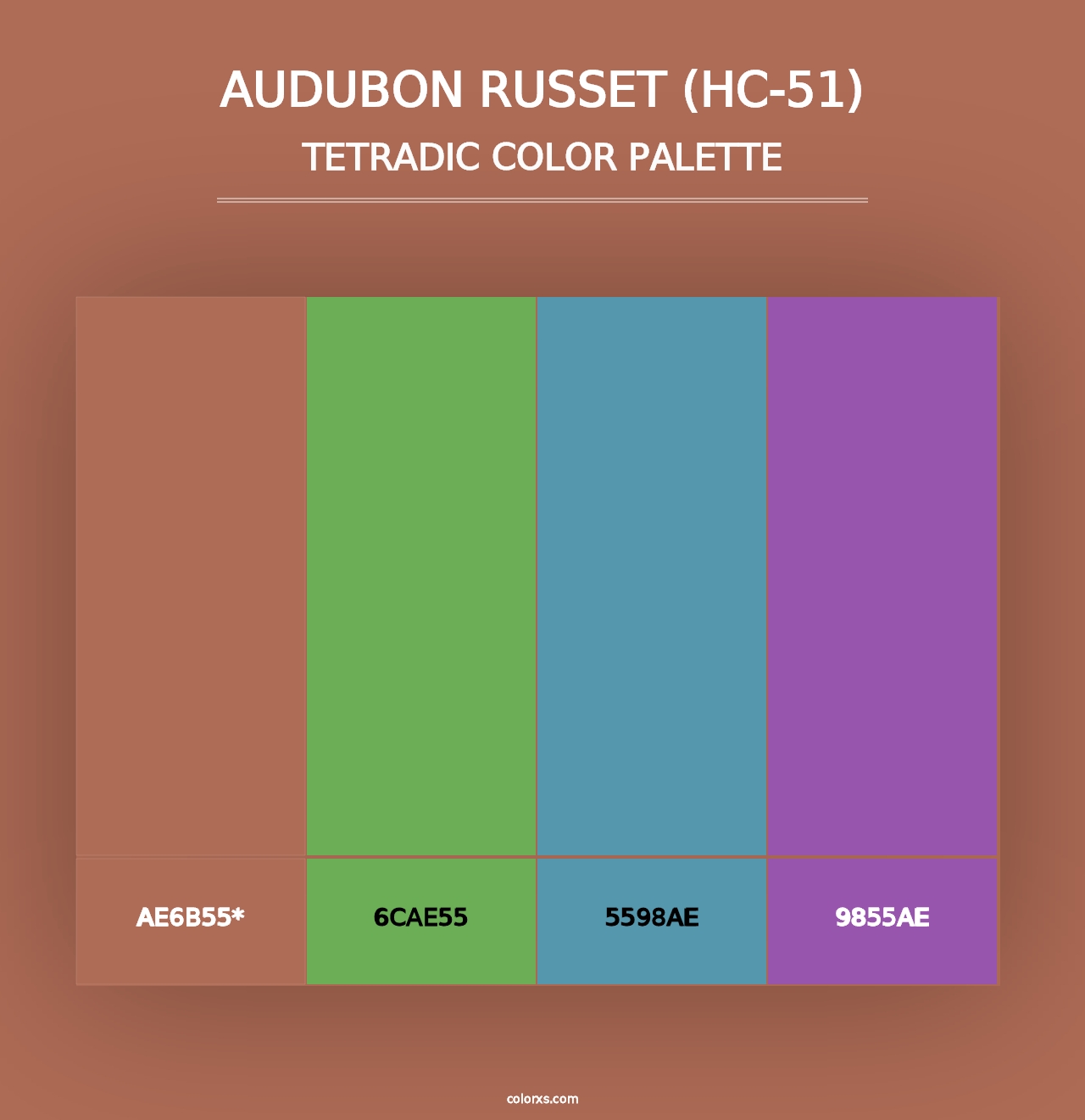 Audubon Russet (HC-51) - Tetradic Color Palette