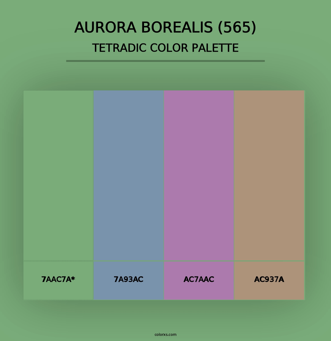 Aurora Borealis (565) - Tetradic Color Palette