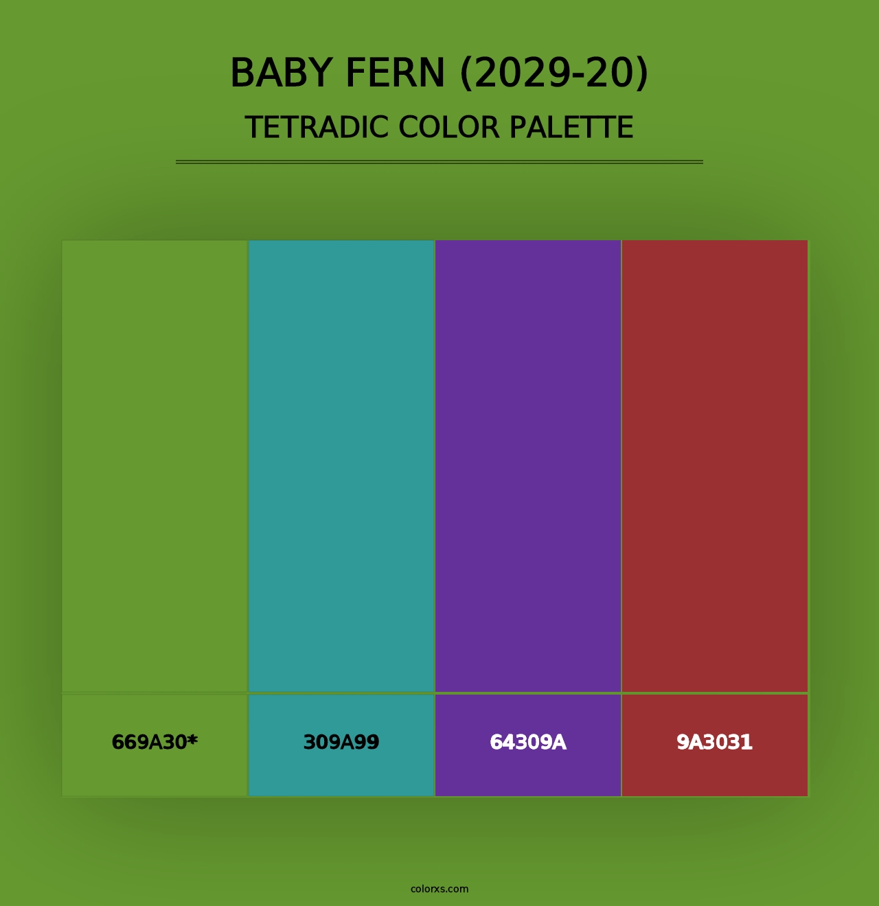 Baby Fern (2029-20) - Tetradic Color Palette