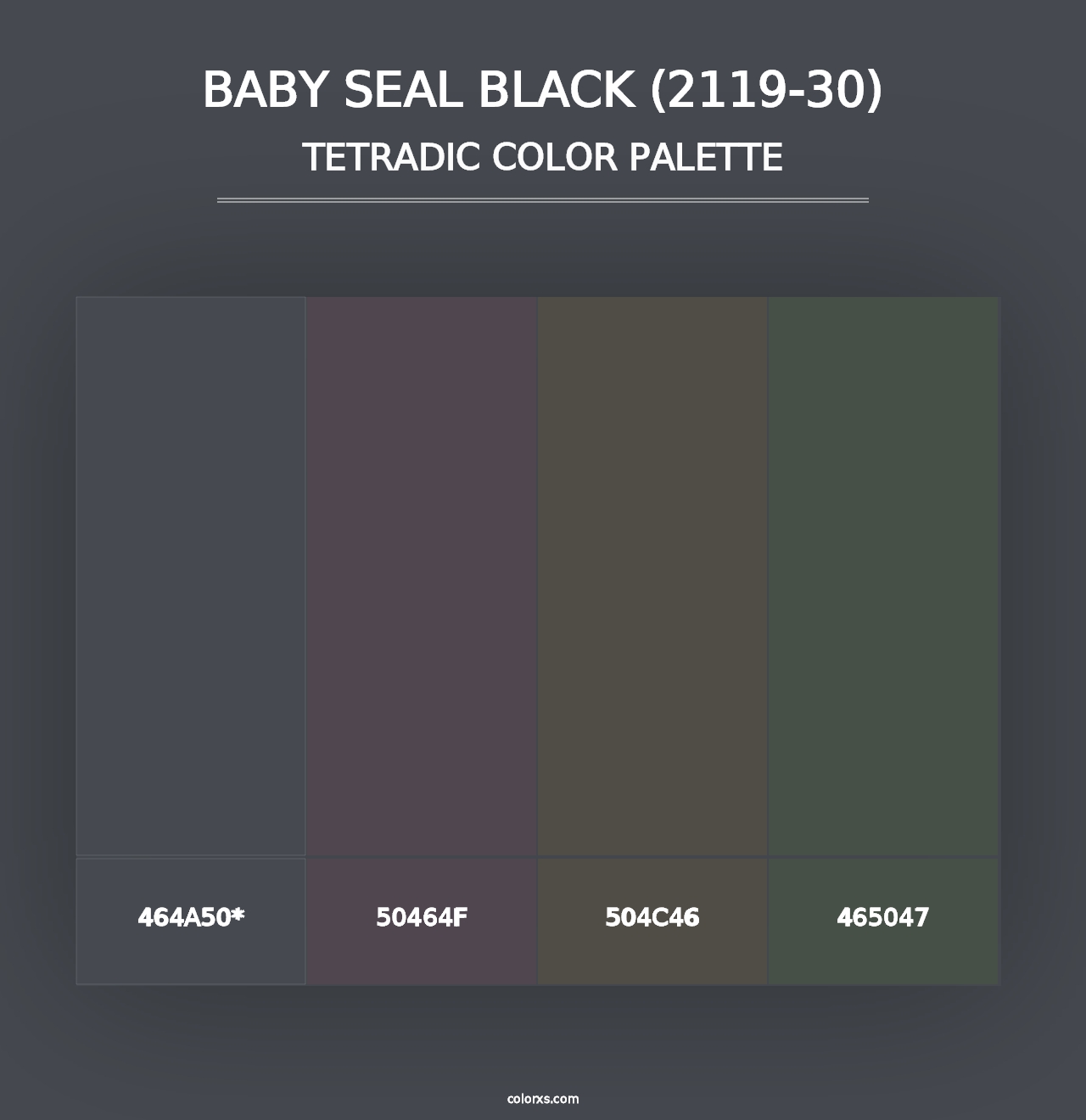 Baby Seal Black (2119-30) - Tetradic Color Palette