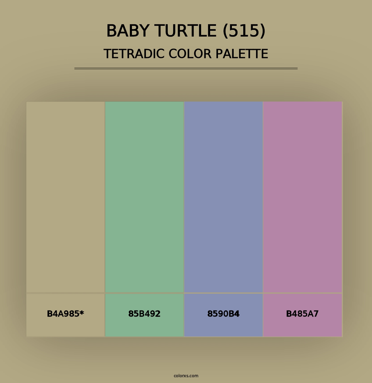 Baby Turtle (515) - Tetradic Color Palette