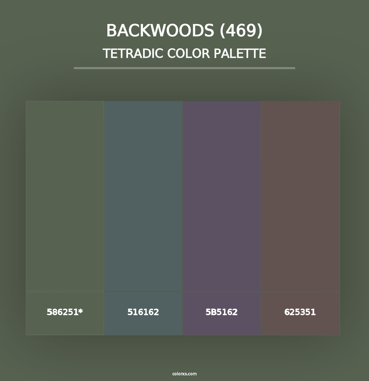 Backwoods (469) - Tetradic Color Palette