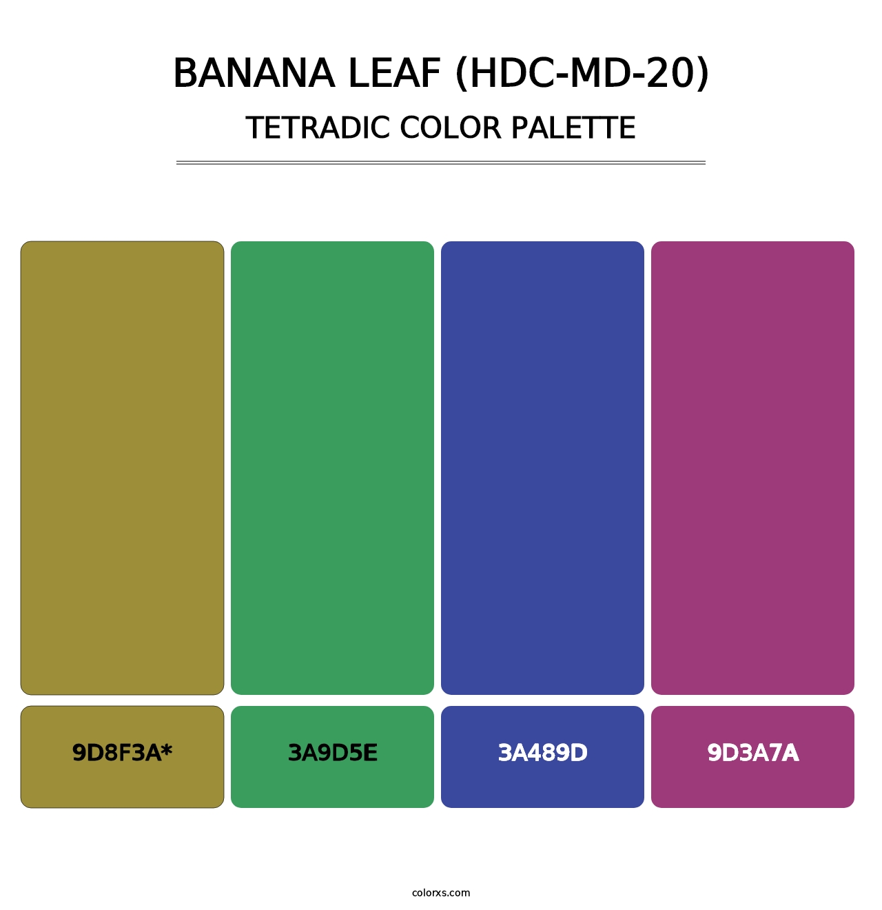 Banana Leaf (HDC-MD-20) - Tetradic Color Palette