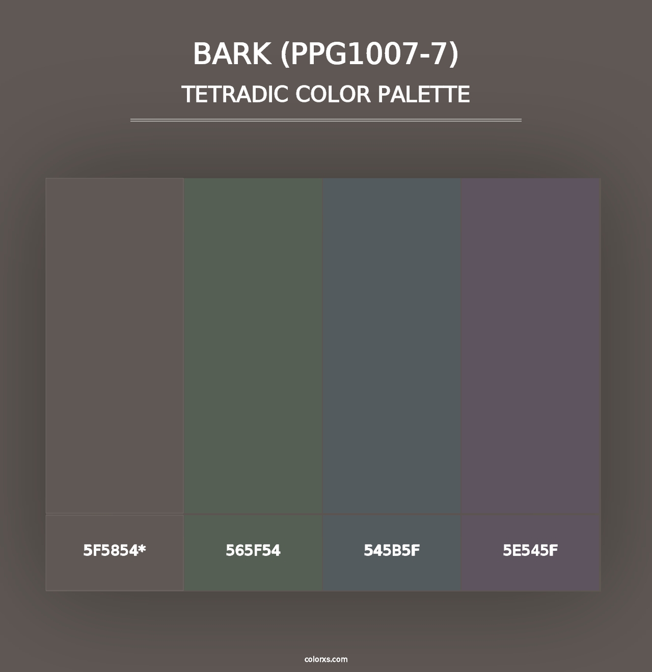 Bark (PPG1007-7) - Tetradic Color Palette