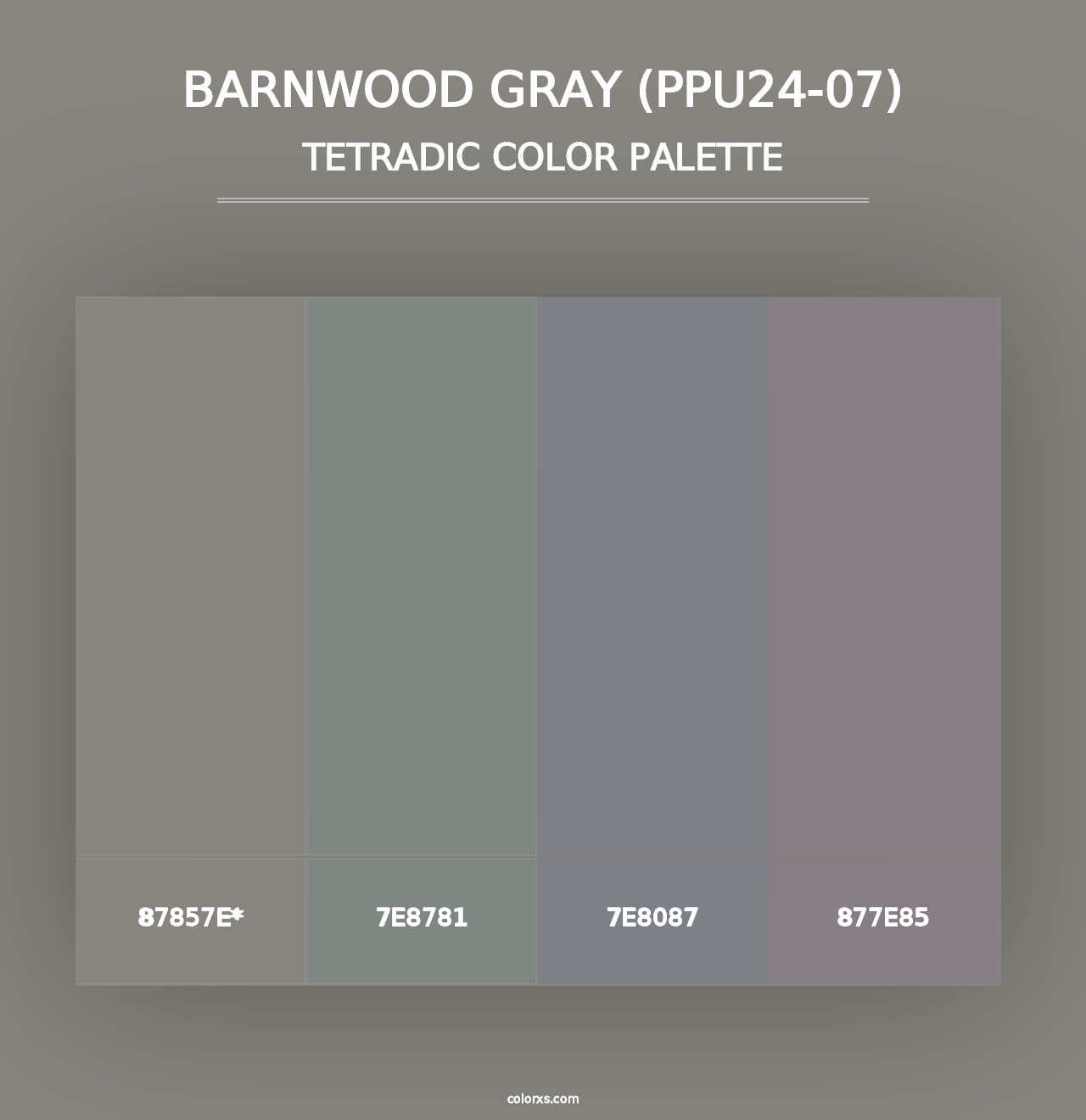 Barnwood Gray (PPU24-07) - Tetradic Color Palette