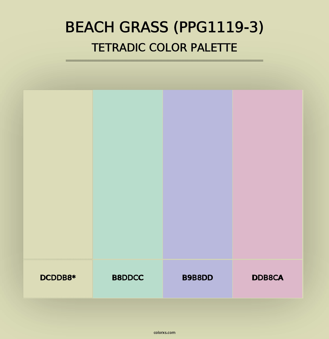 Beach Grass (PPG1119-3) - Tetradic Color Palette