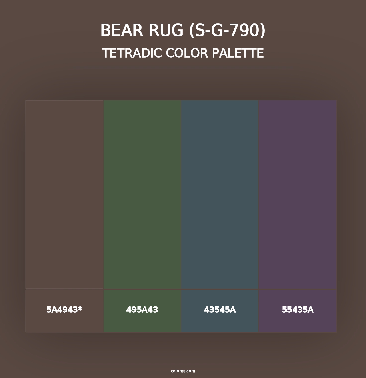 Bear Rug (S-G-790) - Tetradic Color Palette