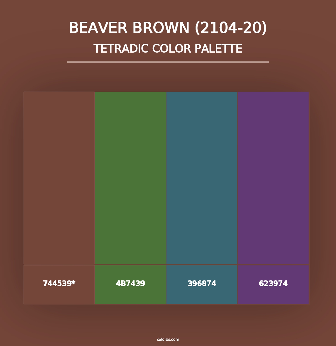 Beaver Brown (2104-20) - Tetradic Color Palette