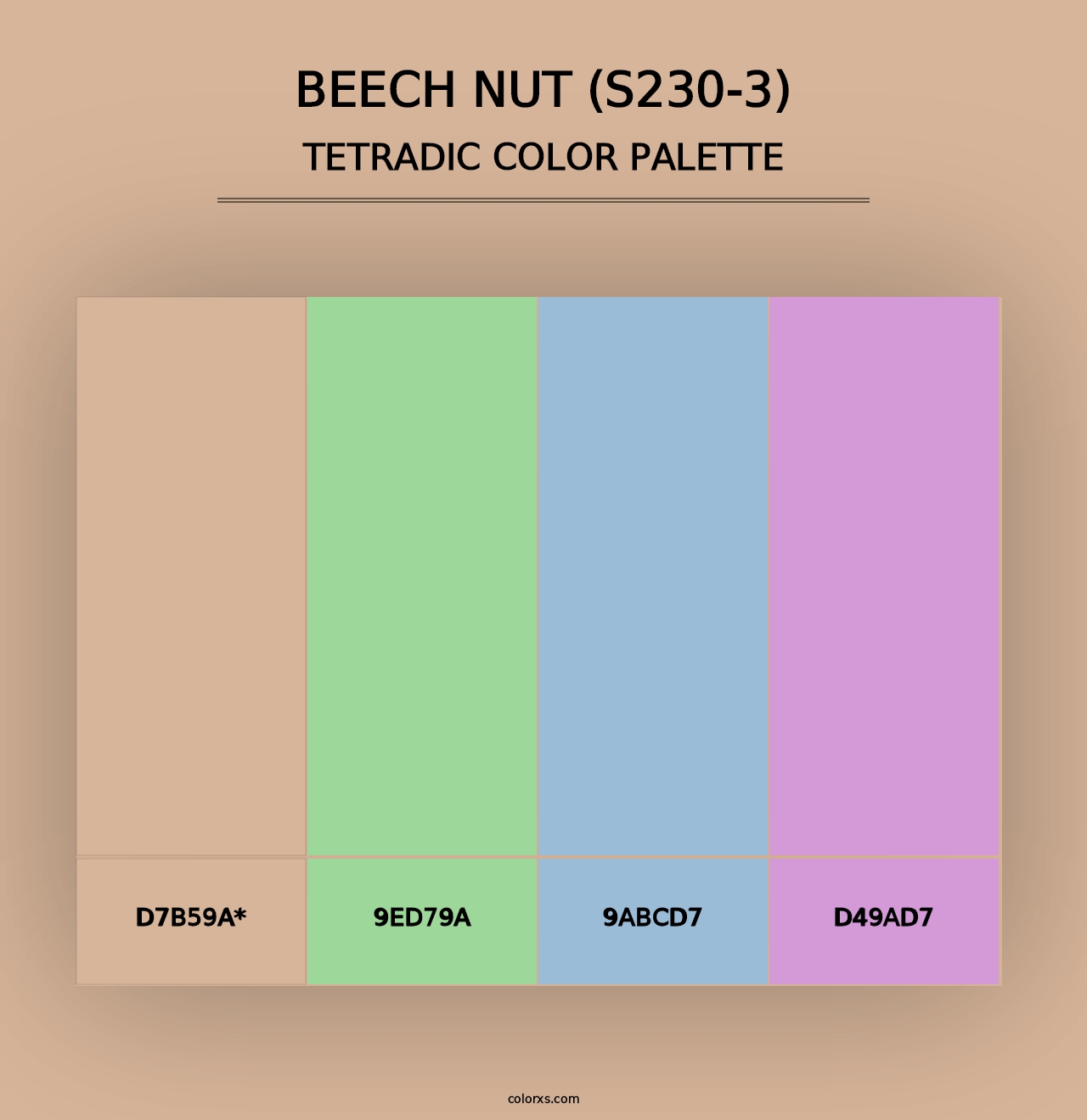 Beech Nut (S230-3) - Tetradic Color Palette