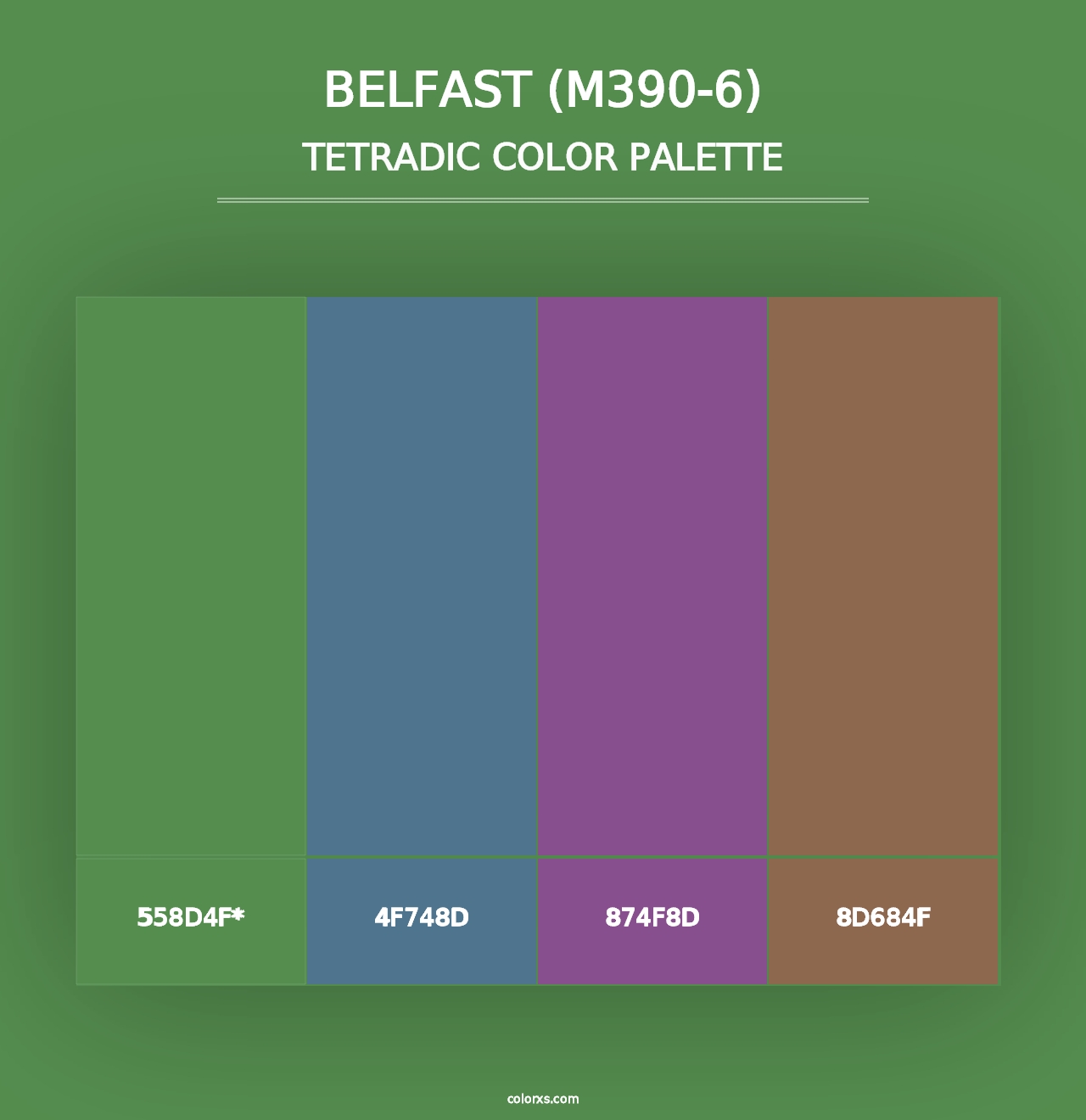 Belfast (M390-6) - Tetradic Color Palette