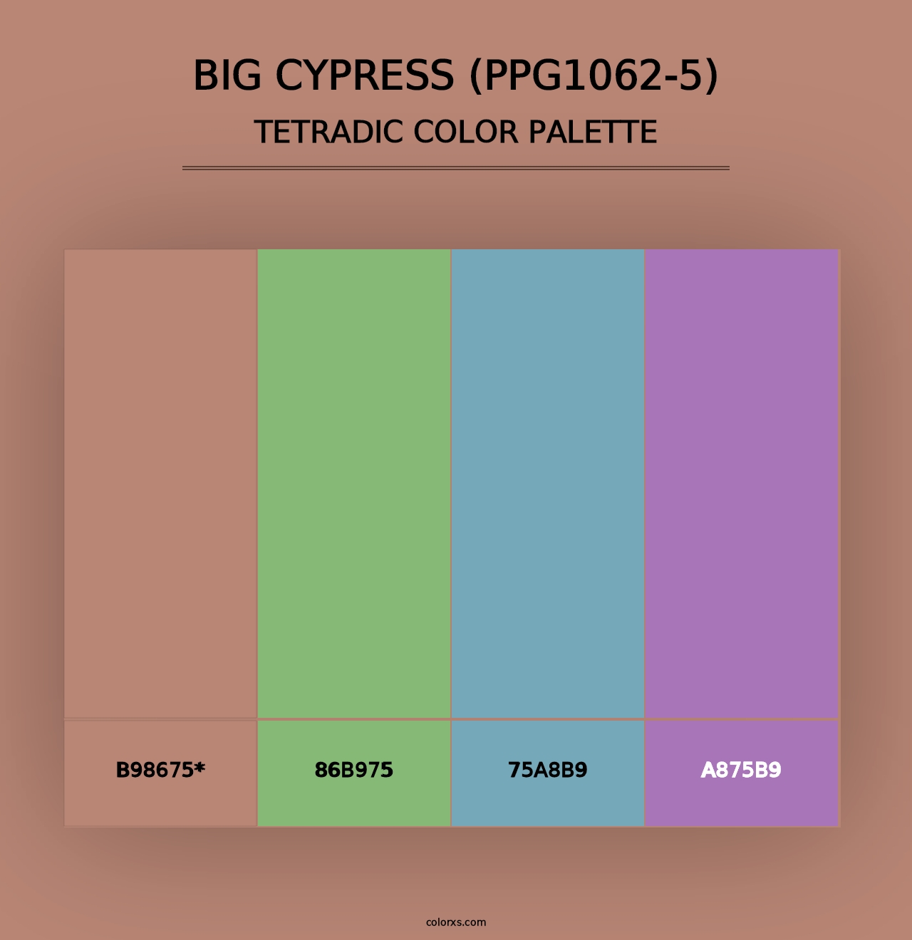 Big Cypress (PPG1062-5) - Tetradic Color Palette