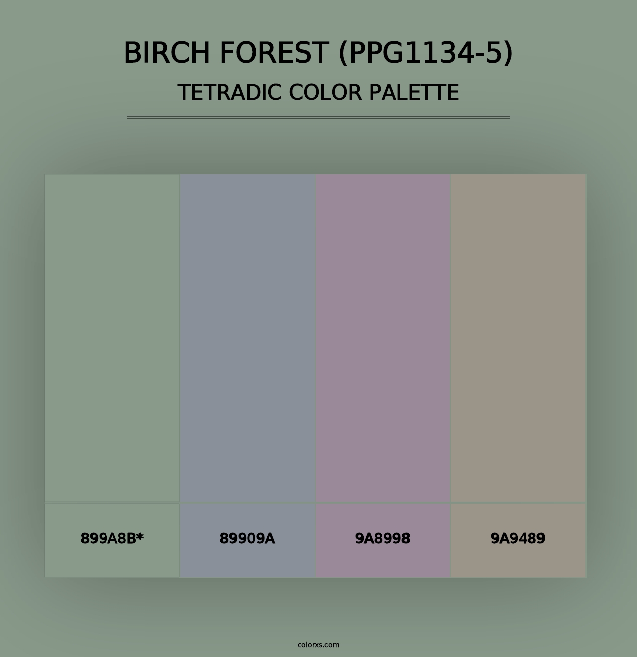 Birch Forest (PPG1134-5) - Tetradic Color Palette