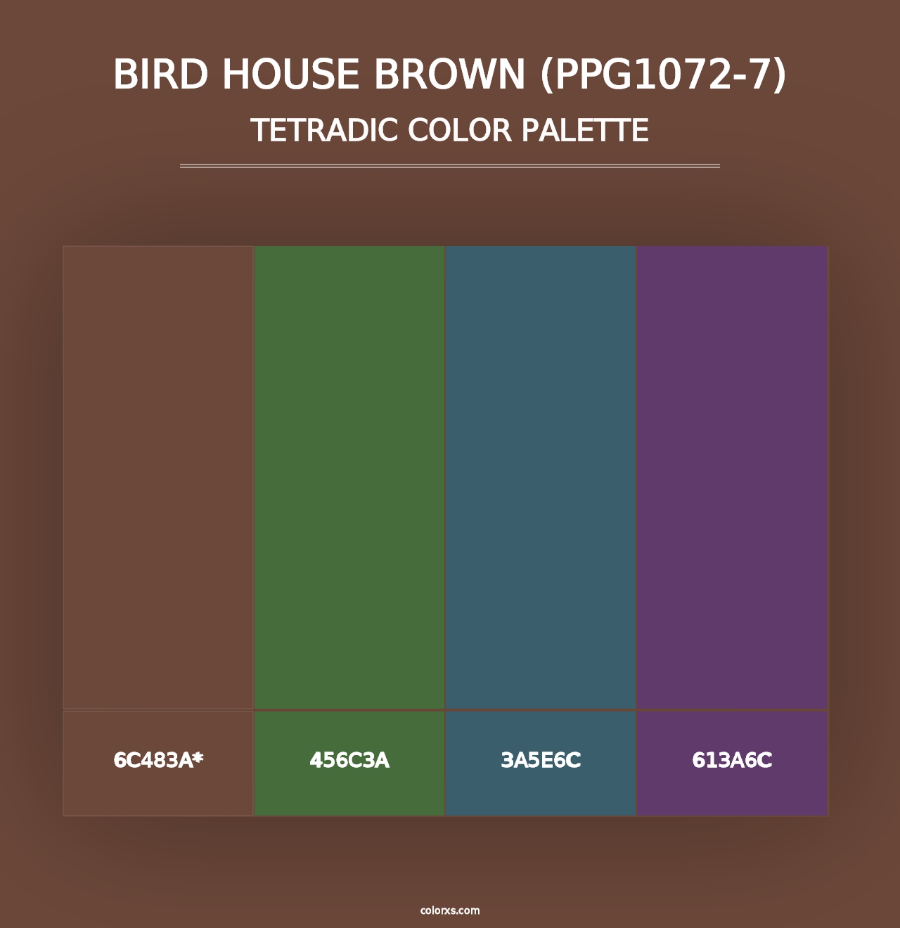 Bird House Brown (PPG1072-7) - Tetradic Color Palette