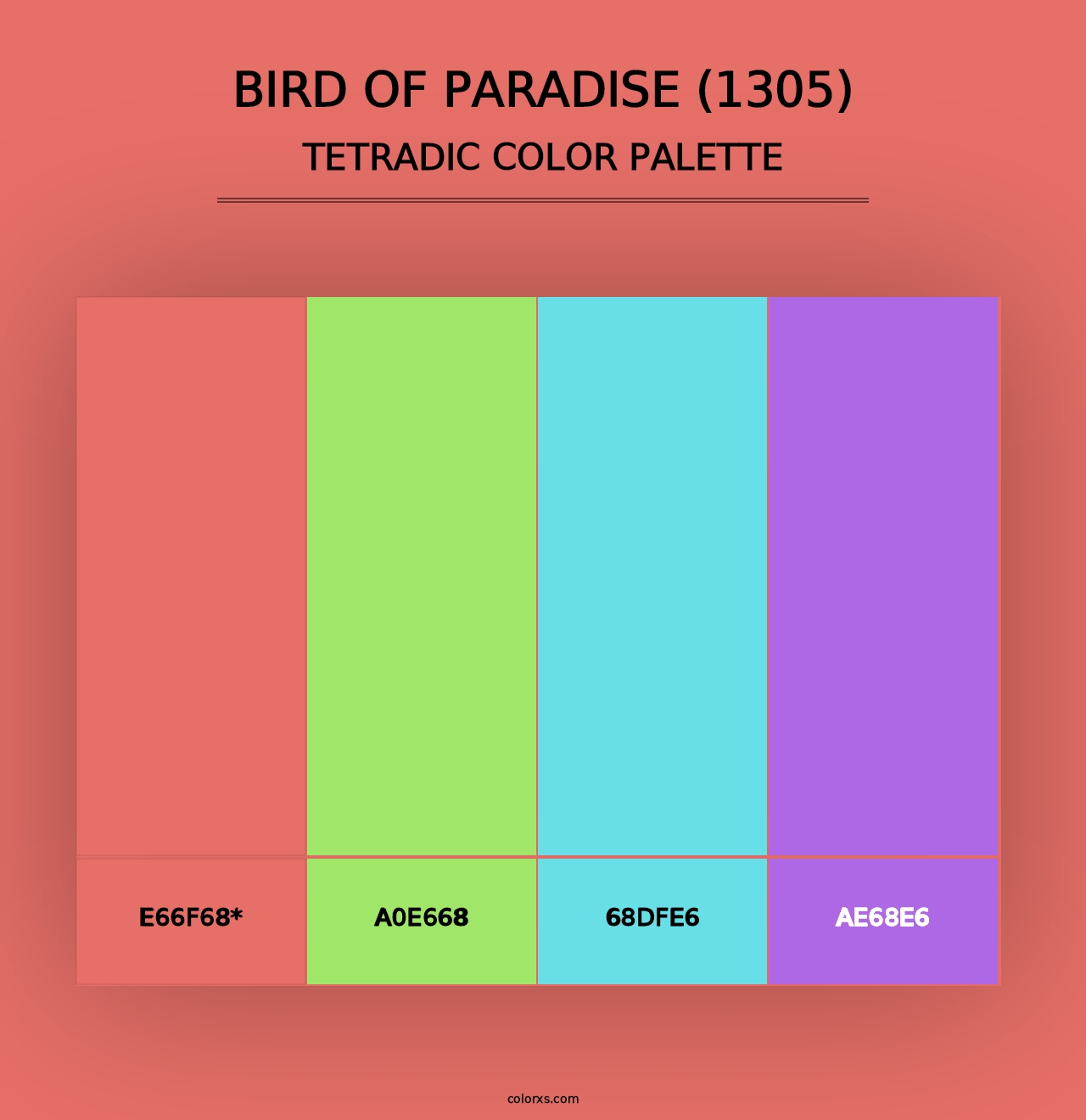 Bird of Paradise (1305) - Tetradic Color Palette