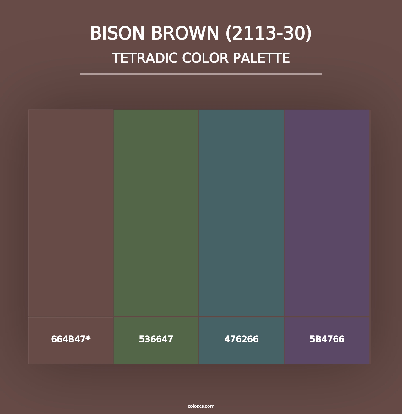 Bison Brown (2113-30) - Tetradic Color Palette