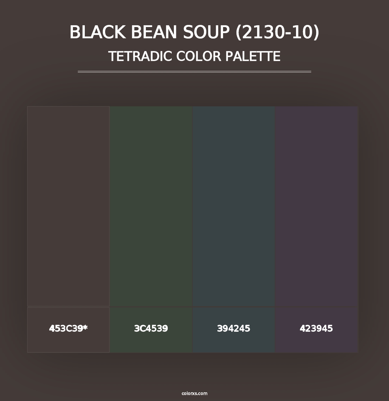 Black Bean Soup (2130-10) - Tetradic Color Palette