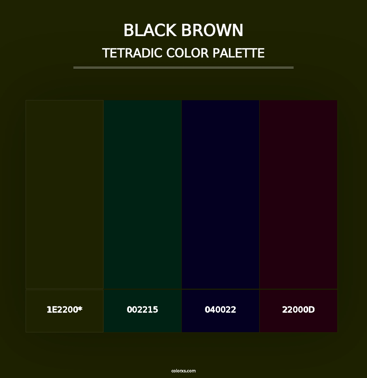 Black Brown - Tetradic Color Palette