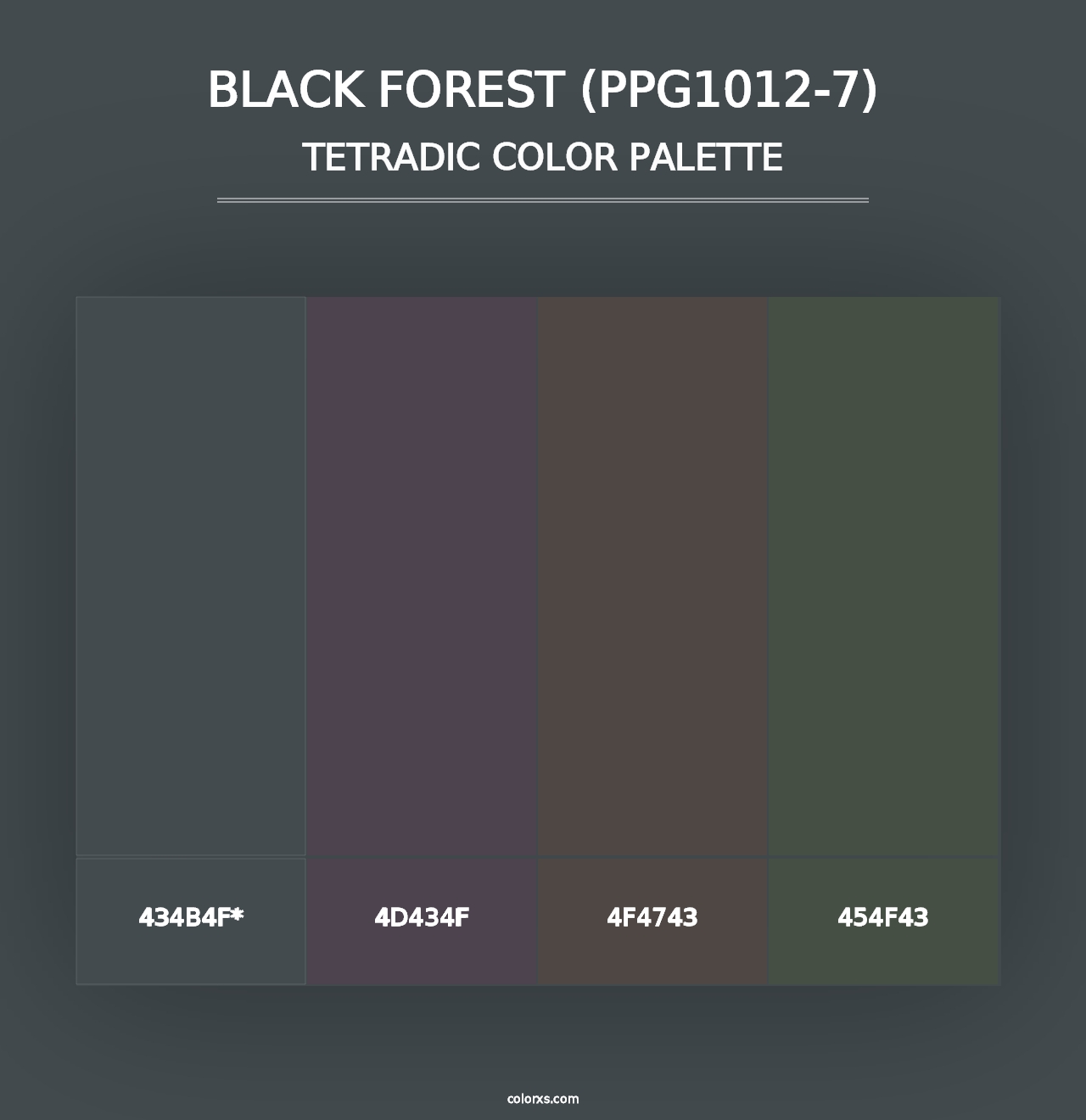 Black Forest (PPG1012-7) - Tetradic Color Palette