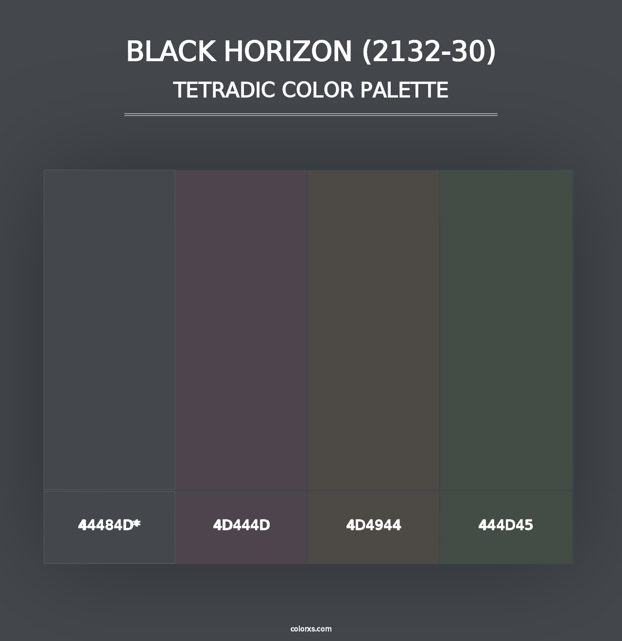 Black Horizon (2132-30) - Tetradic Color Palette