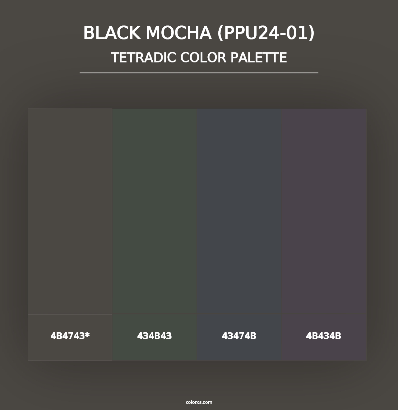 Black Mocha (PPU24-01) - Tetradic Color Palette